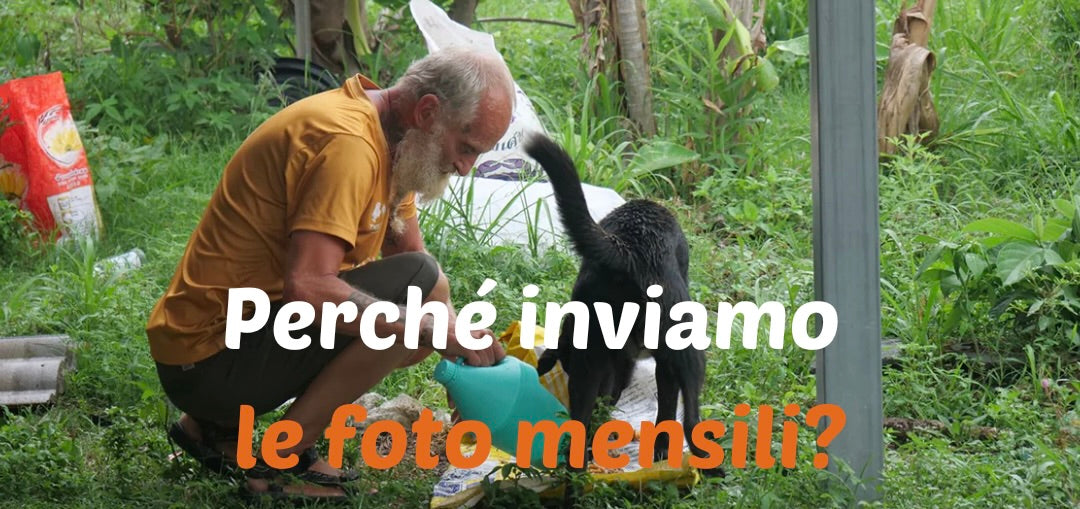 Perché inviamo foto ogni mese