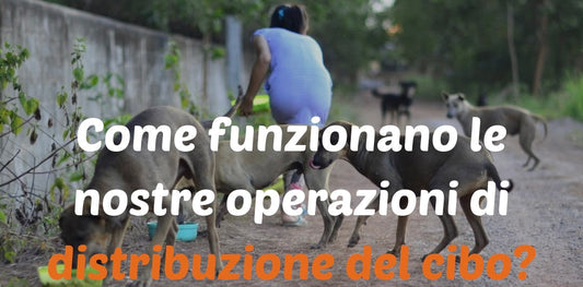 Come funzionano le nostre operazioni di distribuzione del cibo