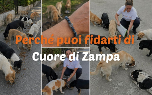 Perché puoi fidarti di Cuore di Zampa