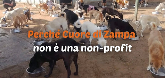 Perché Cuore di Zampa non è una non-profit
