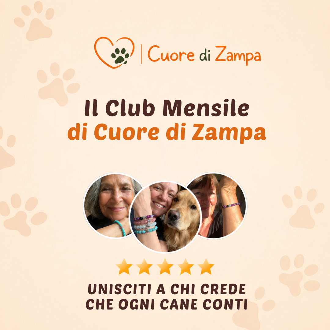 Club Mensile Cuore di Zampa