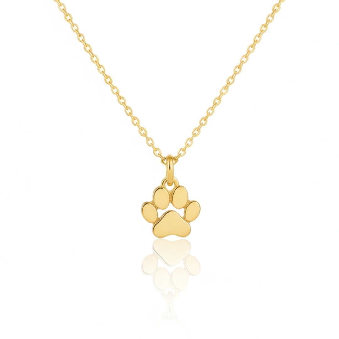 Collana della Speranza