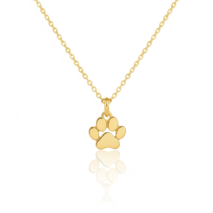 Collana della Speranza