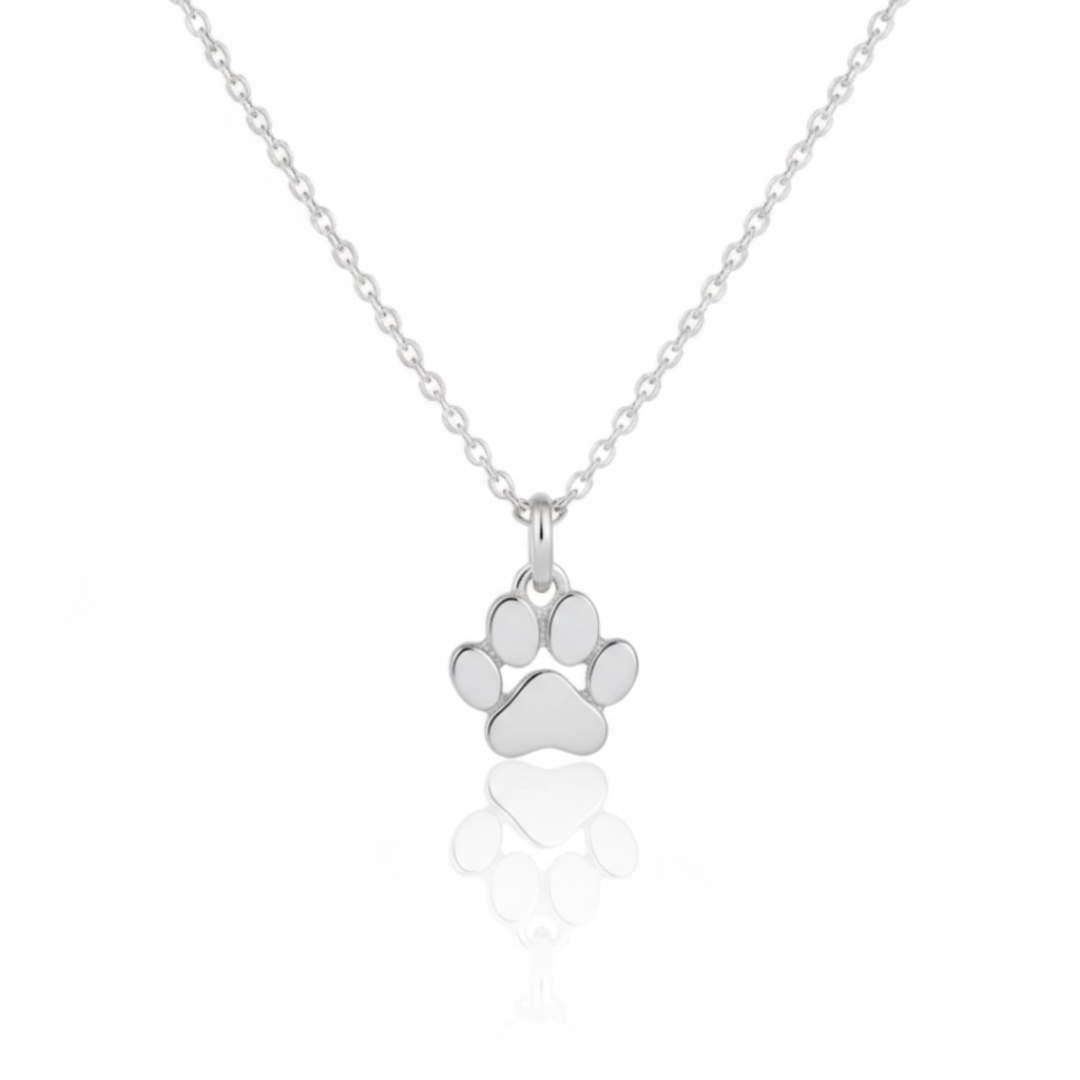 Collana della Speranza