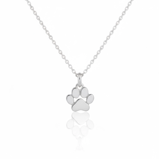 Collana della Speranza