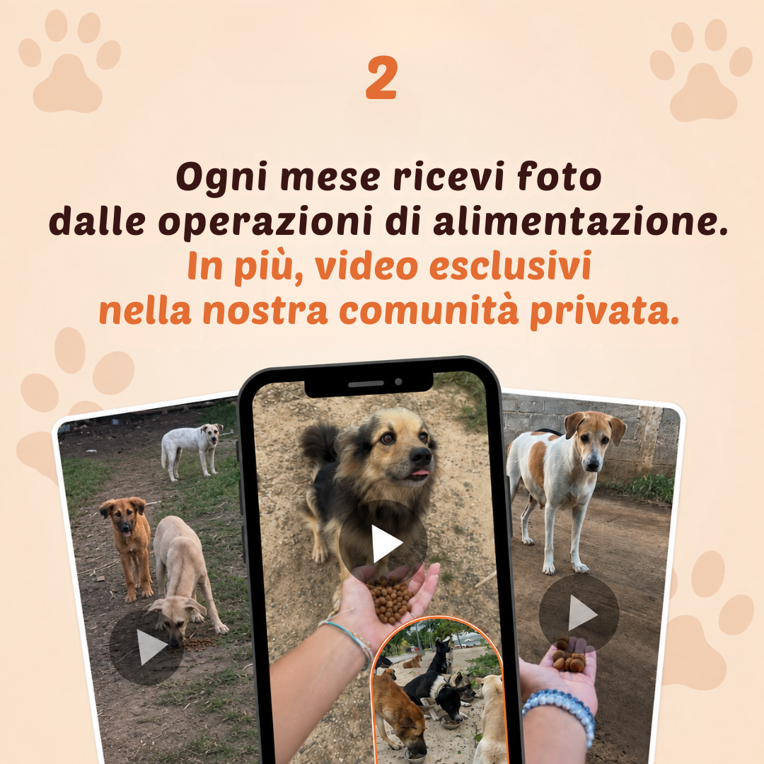 Club Mensile Cuore di Zampa