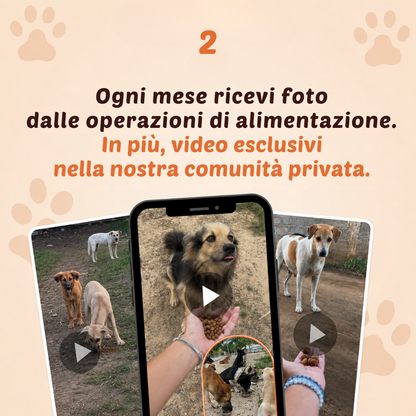 Club Mensile Cuore di Zampa