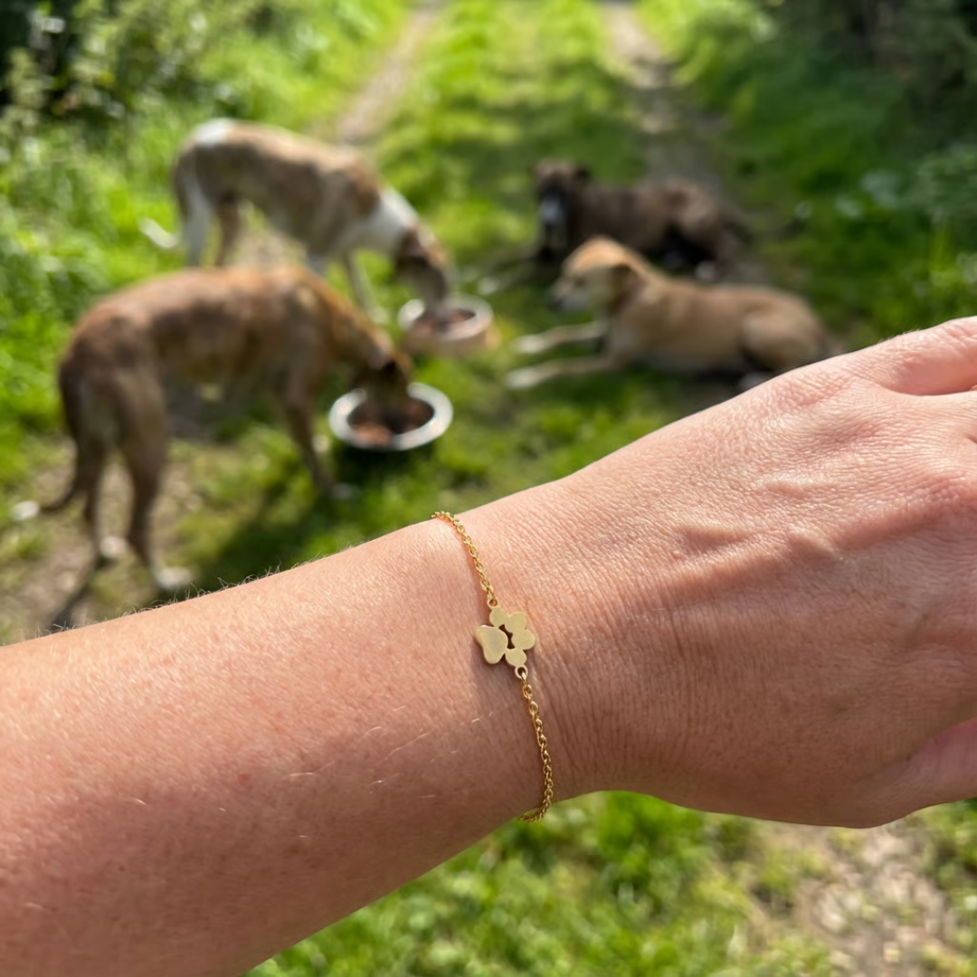 Bracciale Amoria